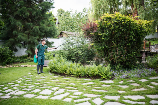 Best Ant Control Services  in Tenaha, TX