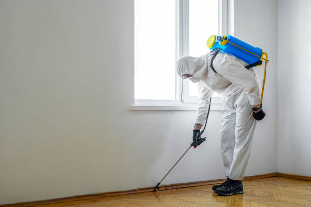 Best Wildlife Control Services  in Tenaha, TX
