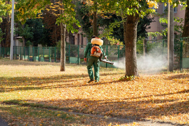 Best Flea Control Services  in Tenaha, TX