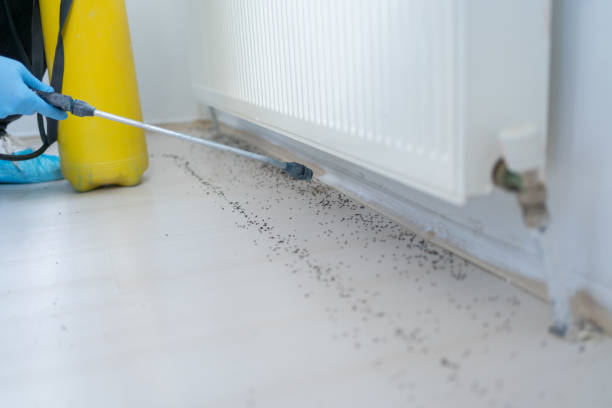 Best Pest Control for Restaurants  in Tenaha, TX
