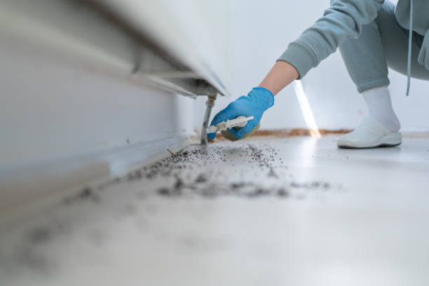 Pest Control Cost in Tenaha, TX