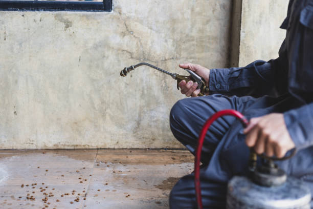 Best Affordable Exterminators  in Tenaha, TX